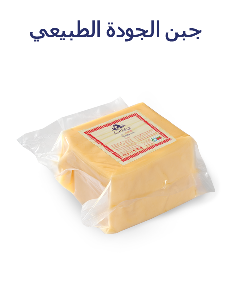 پنیر گودای طبیعی 3